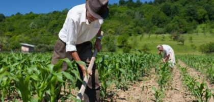 Fetaesp – Federação Dos Trabalhadores Na Agricultura Familiar Do Estado ...